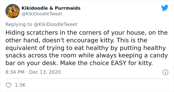 Person Shares How To Have Nice Furniture And A Happy Cat Instead Of Declawing It Person Shares How To Have Nice Furniture And A Happy Cat Instead Of Declawing It