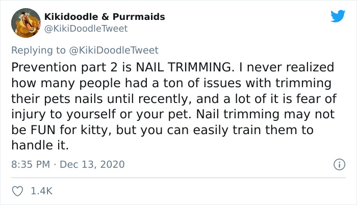 Person Shares How To Have Nice Furniture And A Happy Cat Instead Of Declawing It