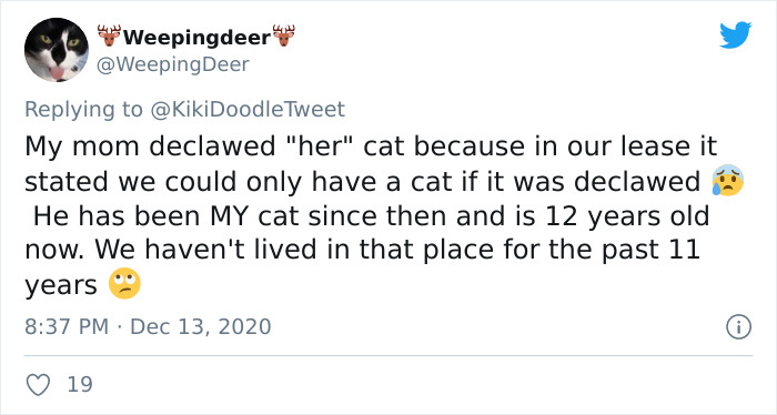 Person Shares How To Have Nice Furniture And A Happy Cat Instead Of Declawing It