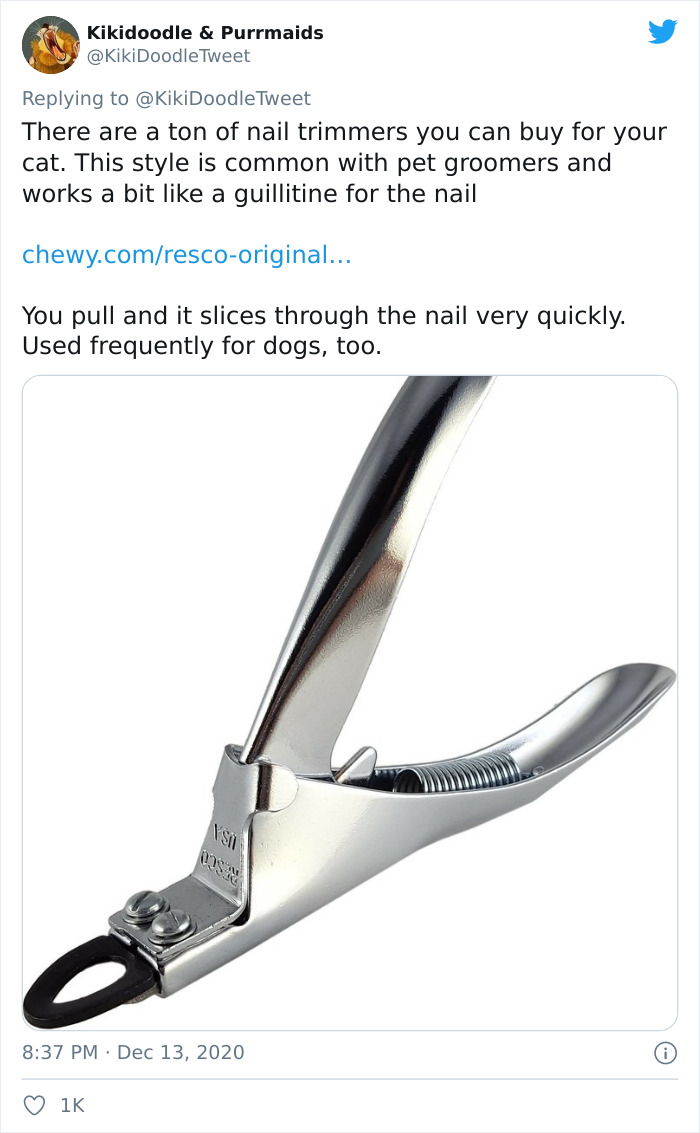 Person Shares How To Have Nice Furniture And A Happy Cat Instead Of Declawing It Person Shares How To Have Nice Furniture And A Happy Cat Instead Of Declawing It