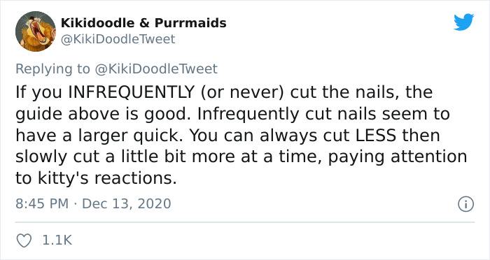 Person Shares How To Have Nice Furniture And A Happy Cat Instead Of Declawing It Person Shares How To Have Nice Furniture And A Happy Cat Instead Of Declawing It