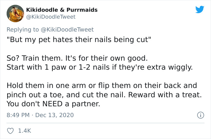 Person Shares How To Have Nice Furniture And A Happy Cat Instead Of Declawing It Person Shares How To Have Nice Furniture And A Happy Cat Instead Of Declawing It