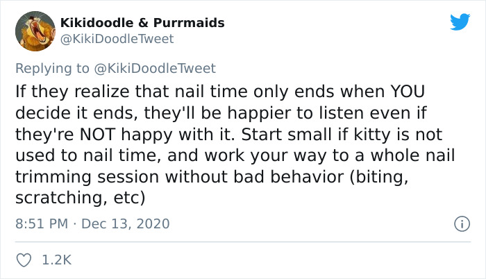 Person Shares How To Have Nice Furniture And A Happy Cat Instead Of Declawing It Person Shares How To Have Nice Furniture And A Happy Cat Instead Of Declawing It