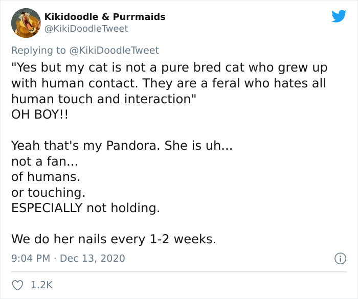 Person Shares How To Have Nice Furniture And A Happy Cat Instead Of Declawing It