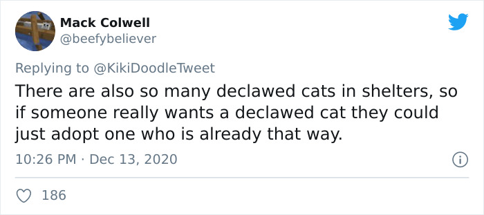 Person Shares How To Have Nice Furniture And A Happy Cat Instead Of Declawing It Person Shares How To Have Nice Furniture And A Happy Cat Instead Of Declawing It