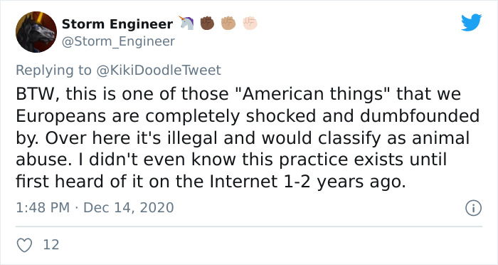 Person Shares How To Have Nice Furniture And A Happy Cat Instead Of Declawing It Person Shares How To Have Nice Furniture And A Happy Cat Instead Of Declawing It