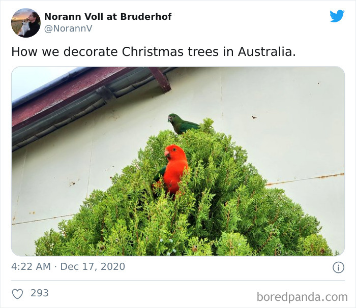 Australian-Christmas-Tweets