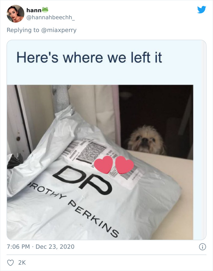 Pets-Collecting-Delivery-Items