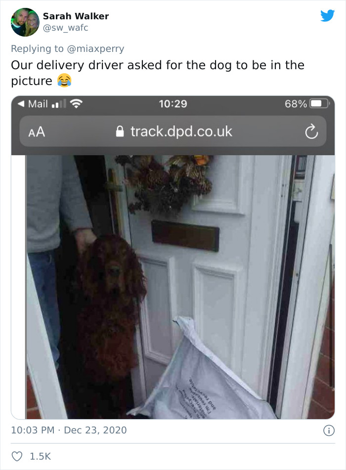 Pets-Collecting-Delivery-Items