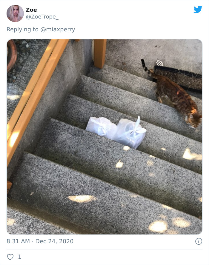 Pets-Collecting-Delivery-Items