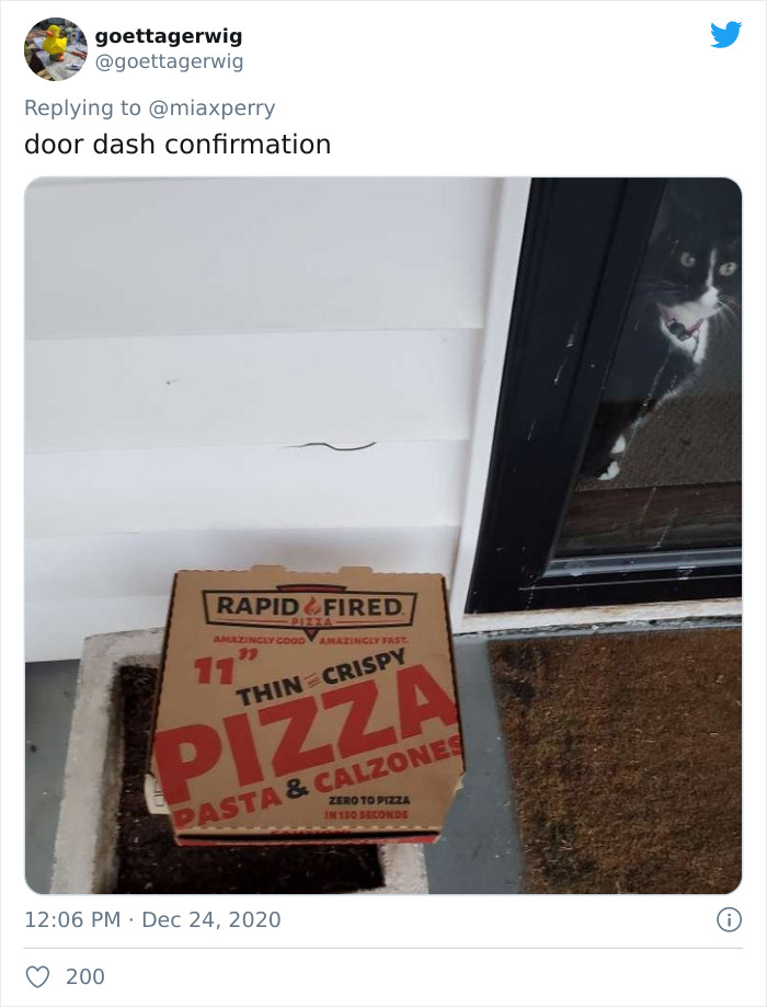 Pets-Collecting-Delivery-Items