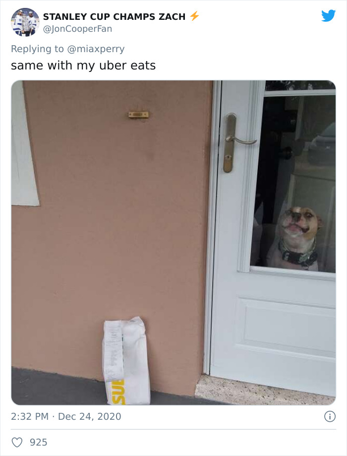 Pets-Collecting-Delivery-Items