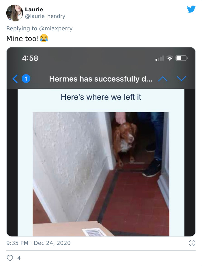 Pets-Collecting-Delivery-Items