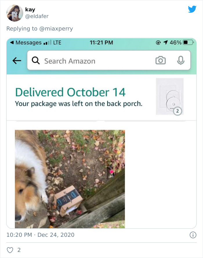 Pets-Collecting-Delivery-Items