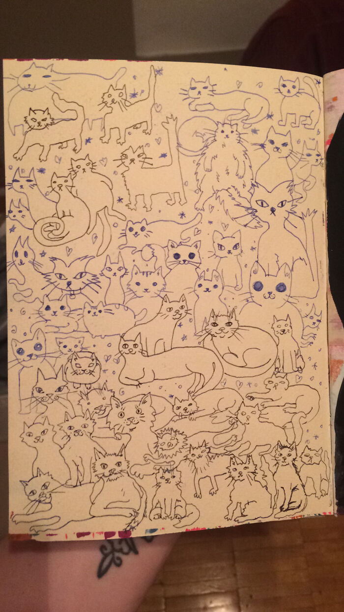 Cat Sketches