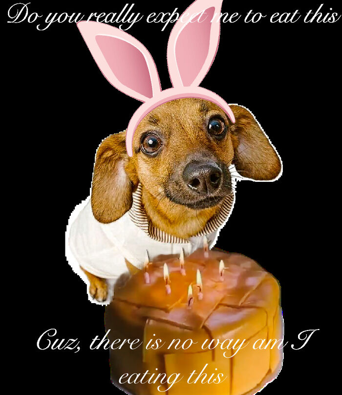 Please Don’t Make Me Eat This...