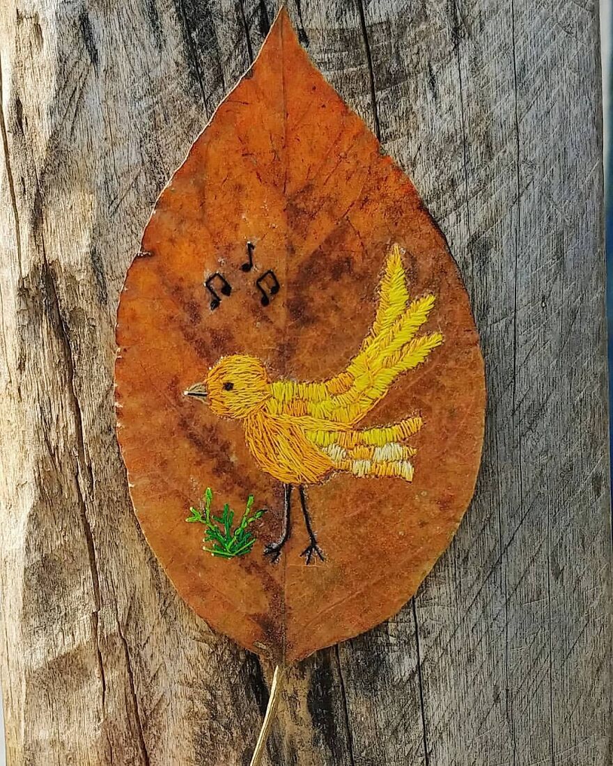 What Nature Discards, This Brazilian Artist Takes The Opportunity To Beautify Life