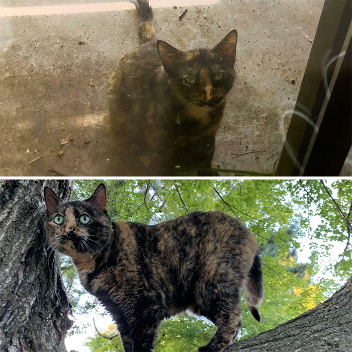 10 Years Difference: Fat, Happy, And Loved To Bits