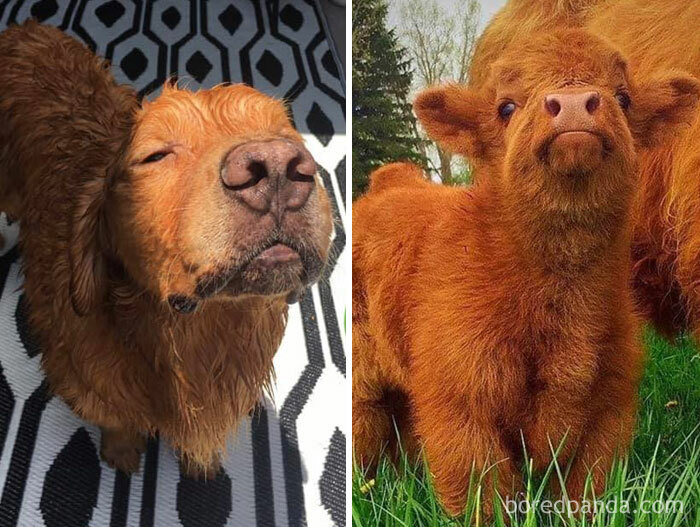 Brother From Another Mother