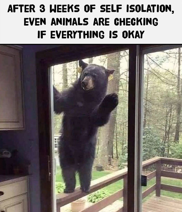 Very-Finnish-Problems-Instagram-Memes