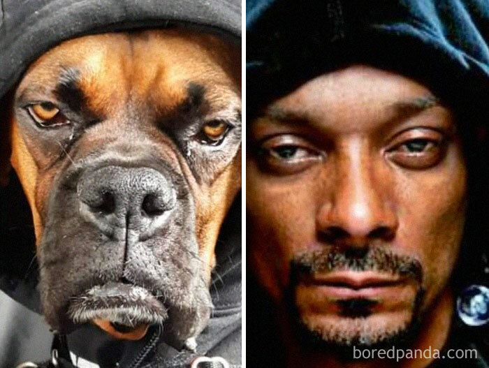 Basher Looks Like Snoop When He Wears His Hoodie