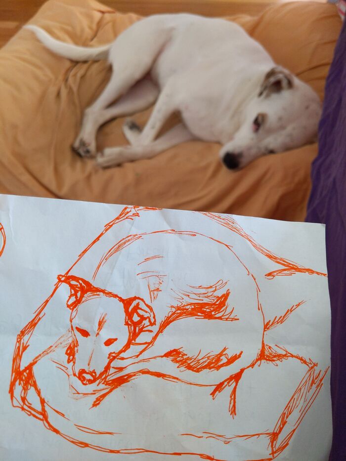 Lola (She Moved Before I Finished)