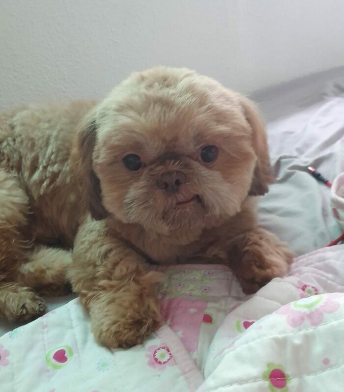 My Baby's Innocent Smile