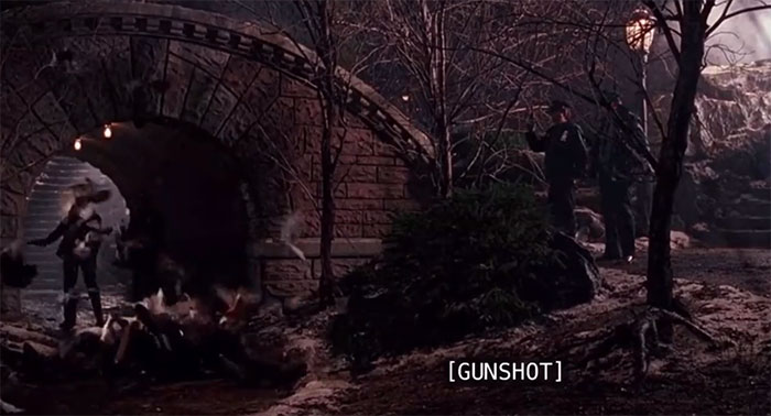 Getting Rid Of The Pigeons In Home Alone 2 (1992) Is A Clip Played Backwards