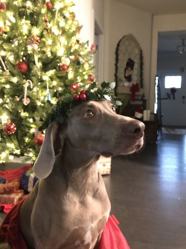 Peppers Photo Shoot This Year