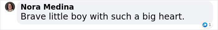 7-Year-Old Foster Son Rushes Back Into Burning Home To Save His Baby Sister 7-Year-Old Foster Son Rushes Back Into Burning Home To Save His Baby Sister