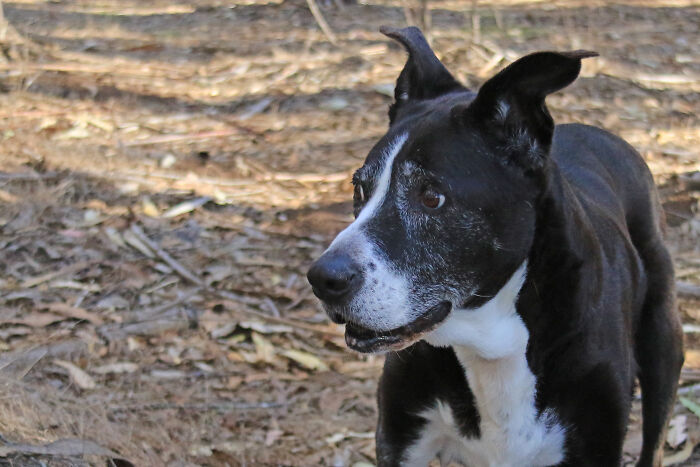 Lily, She'll Be 16 In February..