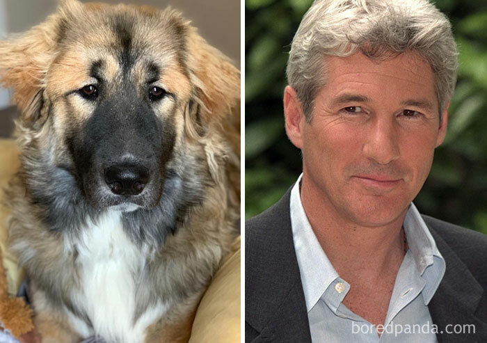 Krystoff Looks Like Richard Gere