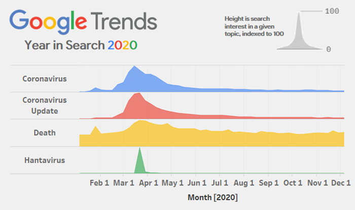 Guy Shares A 2020 Google Search Trends Infographic And It Sums Up 2020 Guy Shares A 2020 Google Search Trends Infographic And It Sums Up 2020