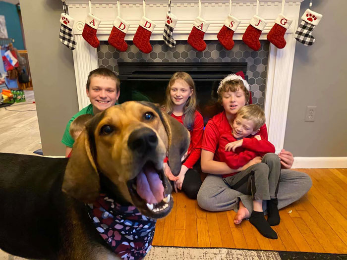 Dog Shamelessly Photobombs Every Single Family Christmas Pic, Ends Up Creating The Perfect Christmas Card