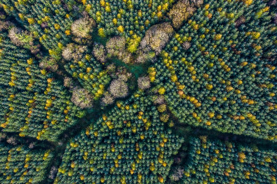 2020 Through The Eyes Of Irish Photographers