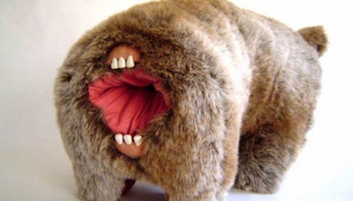 A Whole New Meaning To "Butt Face"