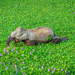 derekholler83 avatar