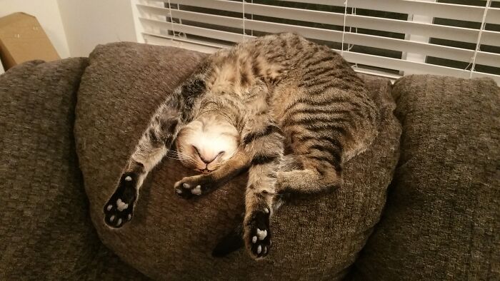 Showing Off Her Flexibility And Style!