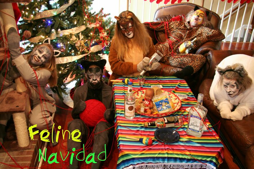Feline Navidad