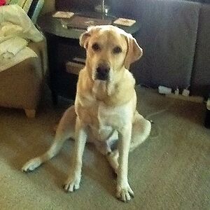 Just a small town girl.