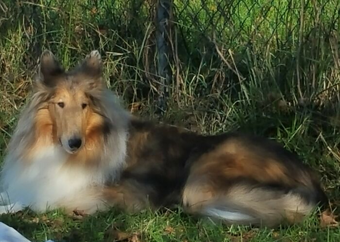 Just Observing His Kingdom