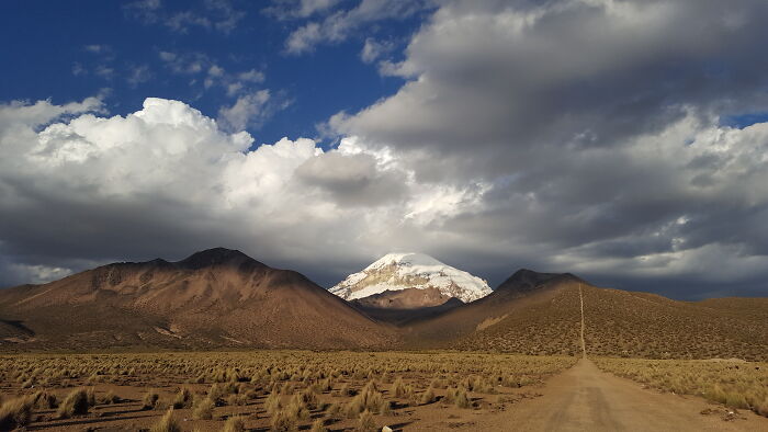 Sajama National Park In Bolivia