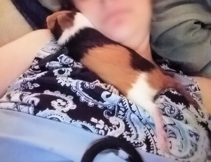 Her Dogs Were Barkin'