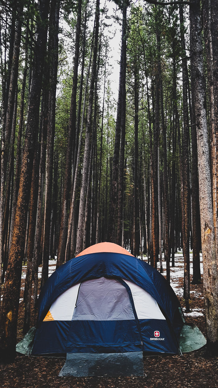 The Best Memory... When It Was Ok To Go Out... Yellowstone 2019