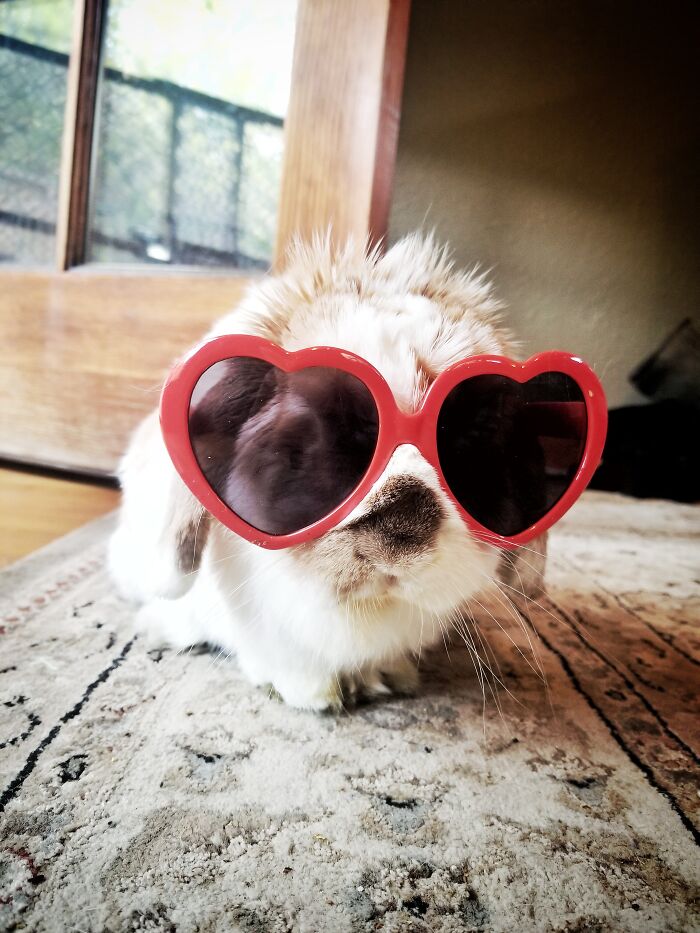 Guinness Mcfinnigan My Heart!