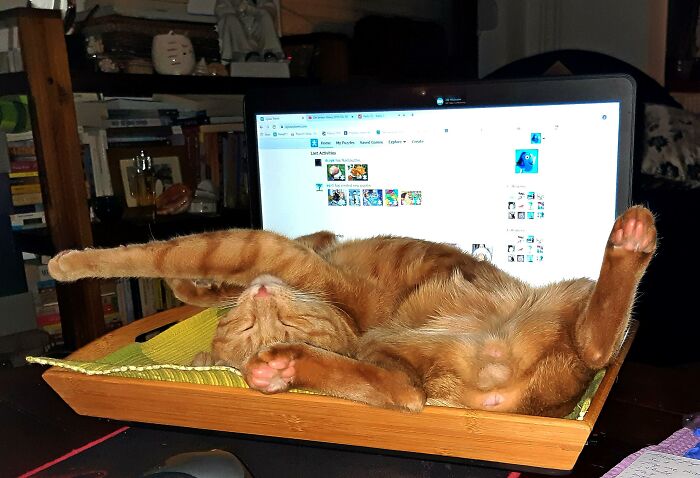 All The Parts Are There, Assemble It Yourself:):)