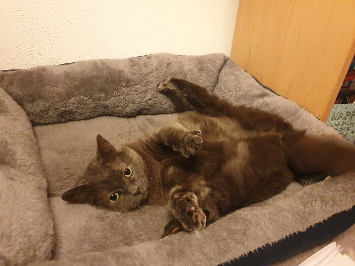 There Was A Lot To Choose From But This One Made Me Laugh The Most When It Happened.