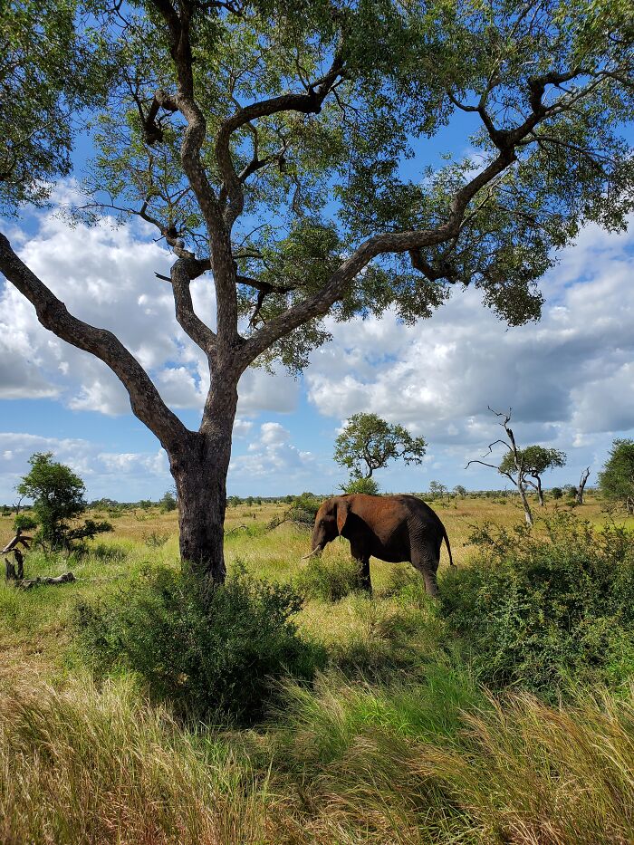 Kruger National Park