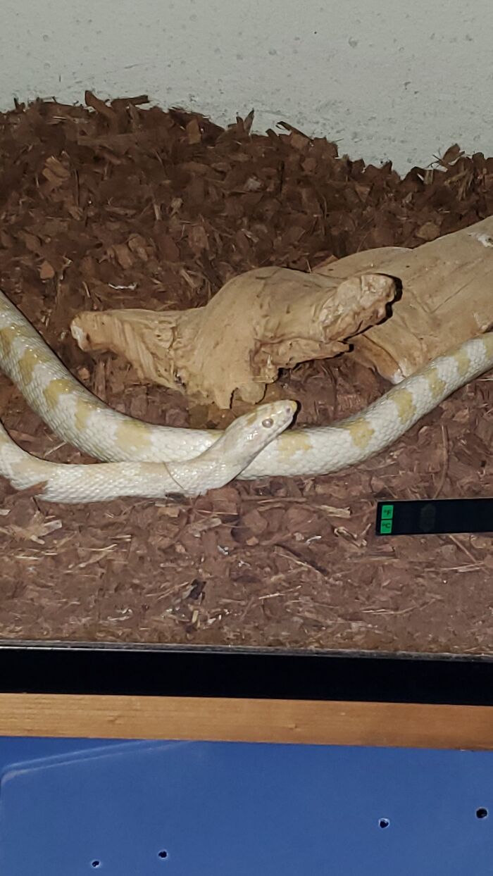 Deuce Is 23 Years Old. I Love Him!