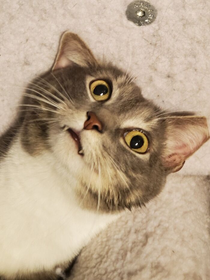 Just About Sums Up This Guy's Personality.